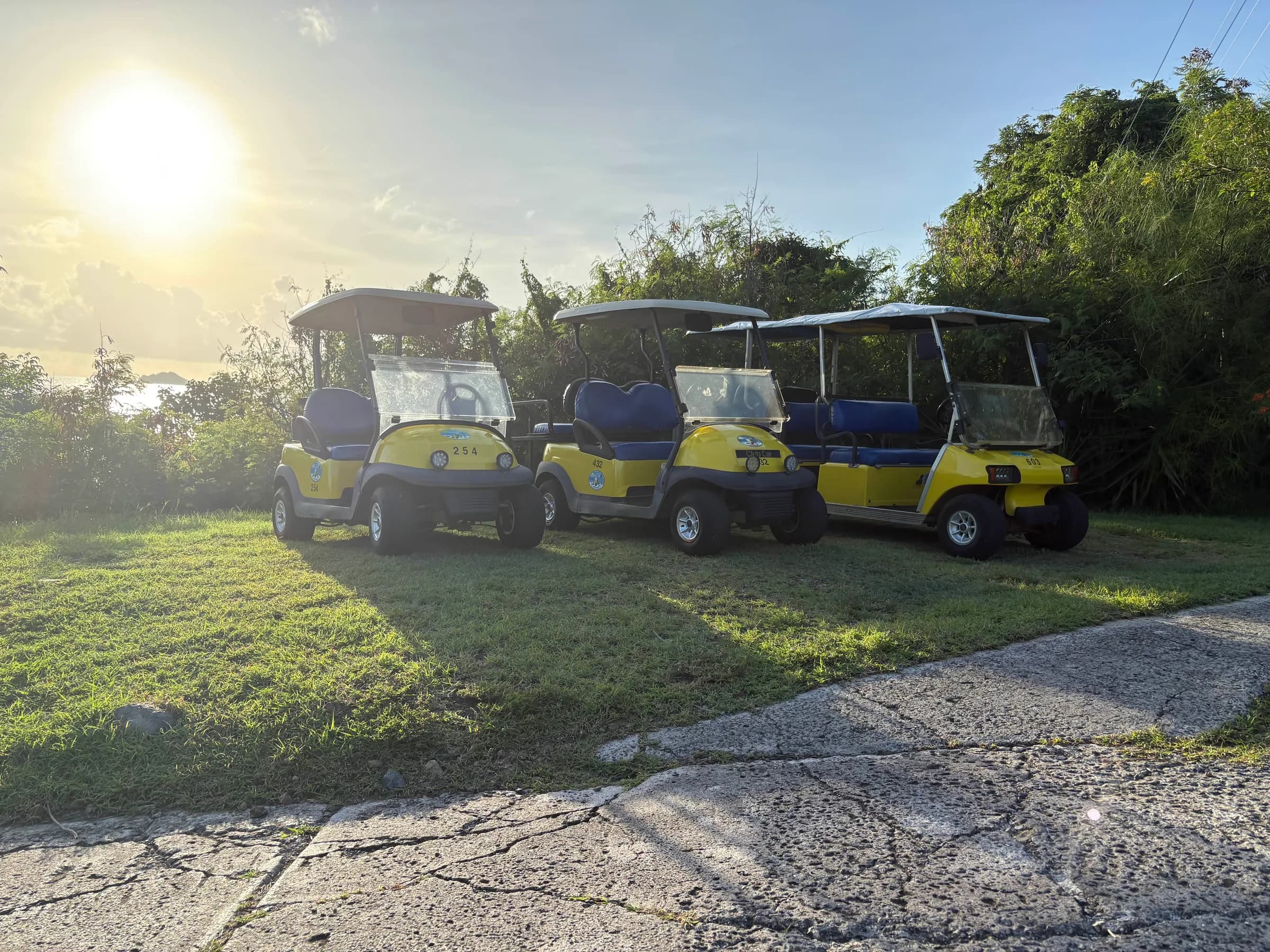 Rachael's Rentals golf carts parked on the grass on Water Island