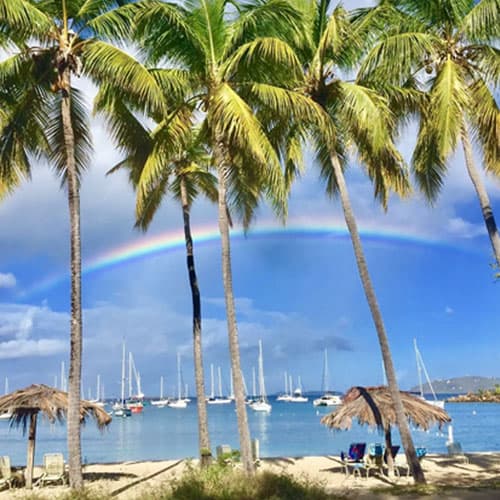 Honeymoon Beach on Water Island, with white sand and palm trees